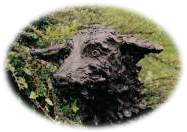 Lurcher